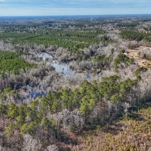 Photo #21 of SOLD property in 1520 Woodyard Rd, Rieglewood, NC 8.9 acres