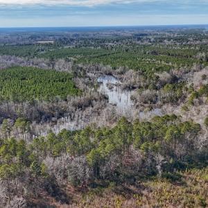Photo #23 of SOLD property in 1520 Woodyard Rd, Rieglewood, NC 8.9 acres