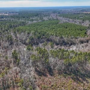 Photo #24 of SOLD property in 1520 Woodyard Rd, Rieglewood, NC 8.9 acres