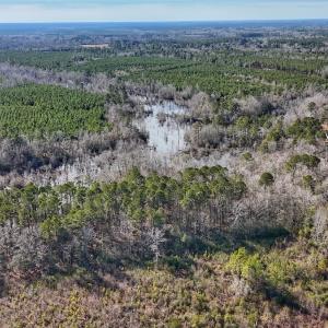 Photo #25 of SOLD property in 1520 Woodyard Rd, Rieglewood, NC 8.9 acres