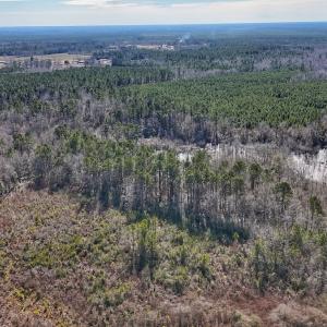 Photo #28 of SOLD property in 1520 Woodyard Rd, Rieglewood, NC 8.9 acres