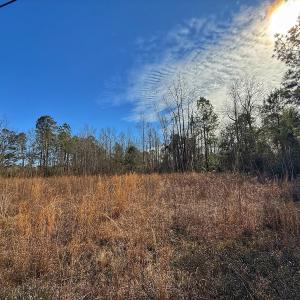 Photo #38 of SOLD property in 1520 Woodyard Rd, Rieglewood, NC 8.9 acres