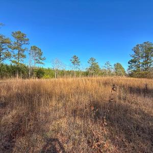Photo #39 of SOLD property in 1520 Woodyard Rd, Rieglewood, NC 8.9 acres