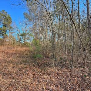 Photo #40 of SOLD property in 1520 Woodyard Rd, Rieglewood, NC 8.9 acres
