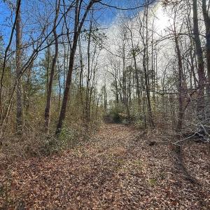 Photo #41 of SOLD property in 1520 Woodyard Rd, Rieglewood, NC 8.9 acres