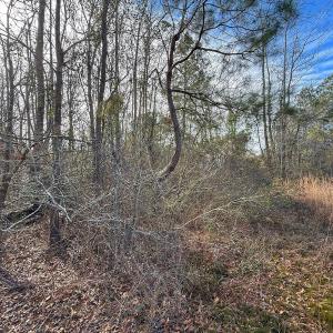 Photo #42 of SOLD property in 1520 Woodyard Rd, Rieglewood, NC 8.9 acres