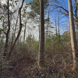 Photo #43 of SOLD property in 1520 Woodyard Rd, Rieglewood, NC 8.9 acres