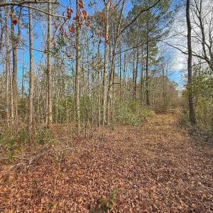 Photo #45 of SOLD property in 1520 Woodyard Rd, Rieglewood, NC 8.9 acres