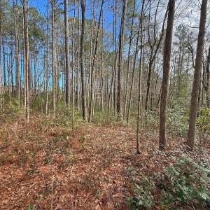 Photo #48 of SOLD property in 1520 Woodyard Rd, Rieglewood, NC 8.9 acres