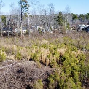 Photo #14 of SOLD property in US 421 S, Erwin, NC 3.4 acres