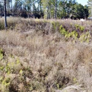 Photo #15 of SOLD property in US 421 S, Erwin, NC 3.4 acres