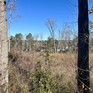 Photo #17 of SOLD property in US 421 S, Erwin, NC 3.4 acres