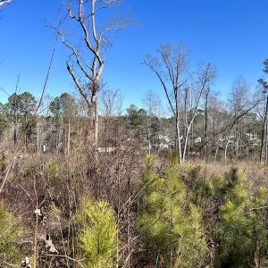 Photo #18 of SOLD property in US 421 S, Erwin, NC 3.4 acres