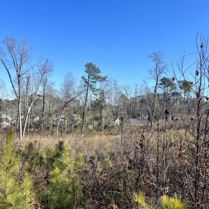 Photo #19 of SOLD property in US 421 S, Erwin, NC 3.4 acres