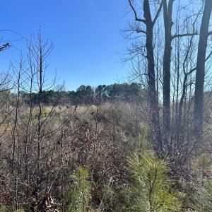 Photo #20 of SOLD property in US 421 S, Erwin, NC 3.4 acres