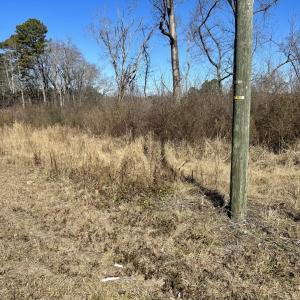 Photo #22 of SOLD property in US 421 S, Erwin, NC 3.4 acres