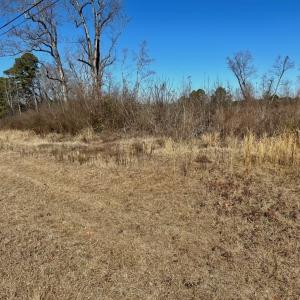 Photo #23 of SOLD property in US 421 S, Erwin, NC 3.4 acres