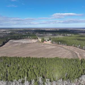Photo #10 of Off Daniels Rd, Corapeake, NC 82.4 acres