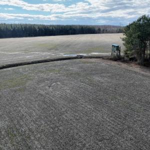 Photo #11 of Off Daniels Rd, Corapeake, NC 82.4 acres