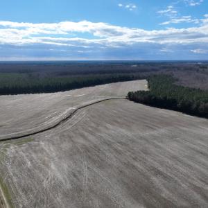 Photo #2 of Off Daniels Rd, Corapeake, NC 82.4 acres