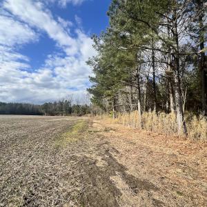 Photo #3 of Off Daniels Rd, Corapeake, NC 82.4 acres