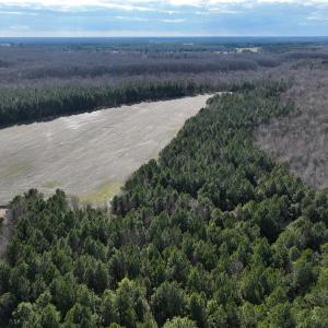 Photo #5 of Off Daniels Rd, Corapeake, NC 82.4 acres