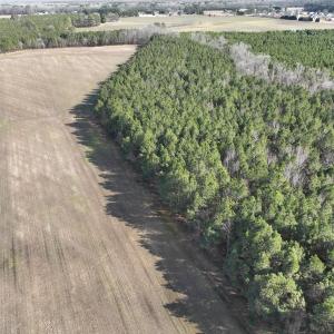 Photo #6 of Off Daniels Rd, Corapeake, NC 82.4 acres