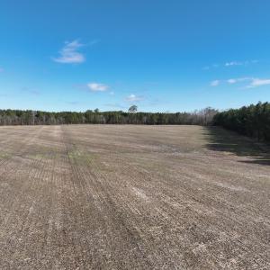 Photo #8 of Off Daniels Rd, Corapeake, NC 82.4 acres