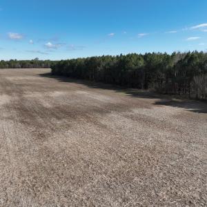Photo #19 of Off Daniels Rd, Corapeake, NC 82.4 acres