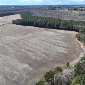 Photo #13 of Off Daniels Rd, Corapeake, NC 82.4 acres