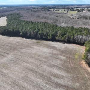 Photo #14 of Off Daniels Rd, Corapeake, NC 82.4 acres