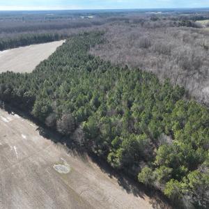 Photo #15 of Off Daniels Rd, Corapeake, NC 82.4 acres