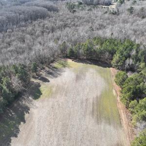 Photo #17 of Off Daniels Rd, Corapeake, NC 82.4 acres