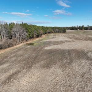 Photo #20 of Off Daniels Rd, Corapeake, NC 82.4 acres