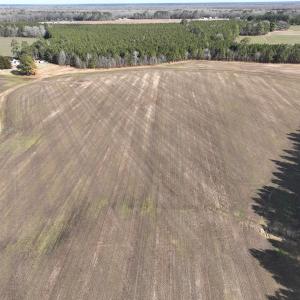 Photo #21 of Off Daniels Rd, Corapeake, NC 82.4 acres