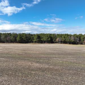 Photo #23 of Off Daniels Rd, Corapeake, NC 82.4 acres