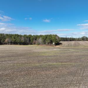 Photo #24 of Off Daniels Rd, Corapeake, NC 82.4 acres