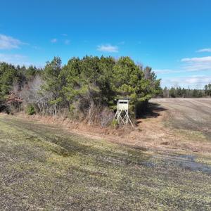 Photo #25 of Off Daniels Rd, Corapeake, NC 82.4 acres