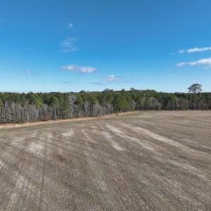 Photo #26 of Off Daniels Rd, Corapeake, NC 82.4 acres