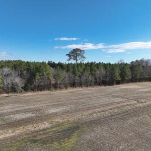 Photo #27 of Off Daniels Rd, Corapeake, NC 82.4 acres
