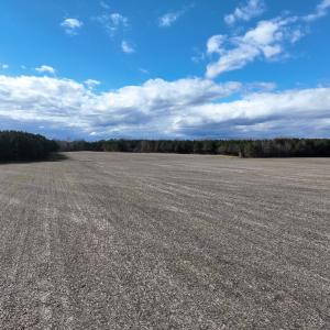 Photo #29 of Off Daniels Rd, Corapeake, NC 82.4 acres
