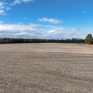 Photo #30 of Off Daniels Rd, Corapeake, NC 82.4 acres