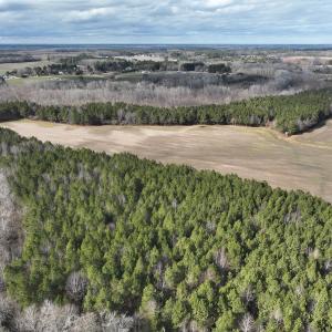 Photo #32 of Off Daniels Rd, Corapeake, NC 82.4 acres
