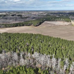 Photo #33 of Off Daniels Rd, Corapeake, NC 82.4 acres