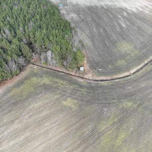 Photo #34 of Off Daniels Rd, Corapeake, NC 82.4 acres