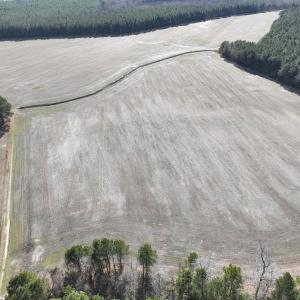 Photo #37 of Off Daniels Rd, Corapeake, NC 82.4 acres