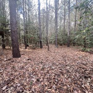 Photo #39 of Off Daniels Rd, Corapeake, NC 82.4 acres