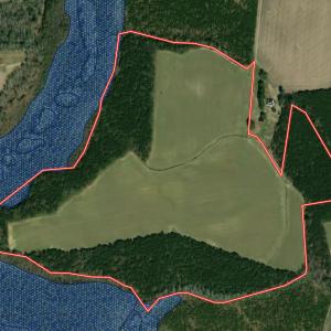Photo #44 of Off Daniels Rd, Corapeake, NC 82.4 acres