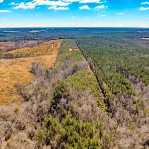 Photo #3 of Off Hicks Rd., Broadway, NC 31.1 acres