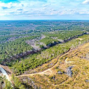 Photo #12 of Off Hicks Rd., Broadway, NC 31.1 acres
